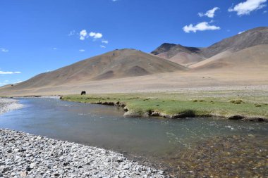 Tibet, Çin. Tibet Platosu, yaz aylarında nehir Ind