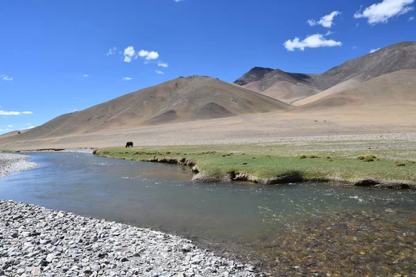 Tíbet China Meseta Tibetana Río Ind Verano —  Fotos de Stock