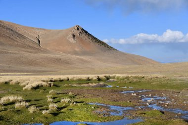 Tibet, dağ manzarası ile sulak