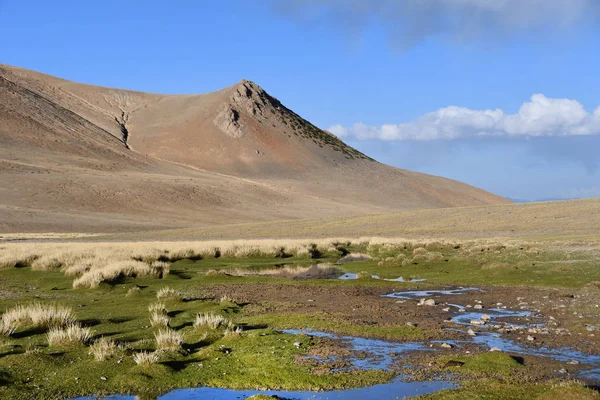 Tibet Paesaggio Montano Con Zone Umide — Foto Stock