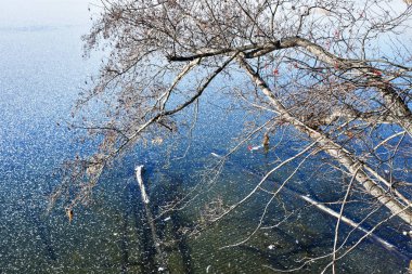 Rusya, Çelyabinsk, doğa anıt - göl Uvildy. Buz güneşli Kasım günde kıyıya yakın küçük bölümü