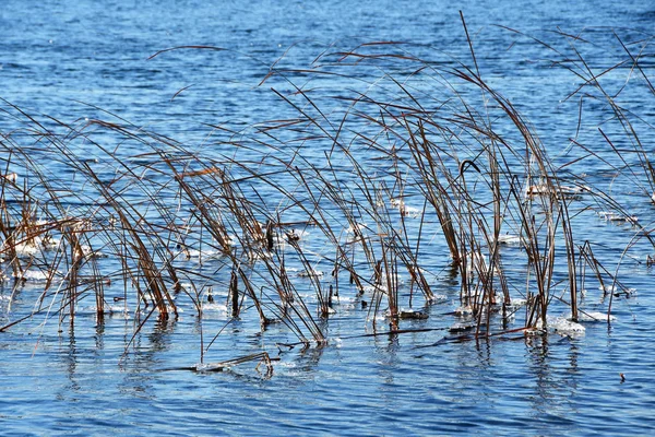 Eau Automne Lac Uvildy Russie Oural Sud Région Tcheliabinsk Russie — Photo