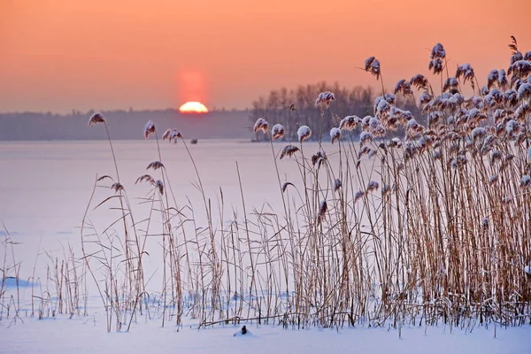 Sunrise Lake Uvildy Late Autumn South Ural Chelyabinsk Region Russia — Stock Photo, Image