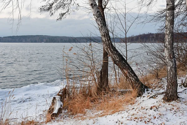 Nature Monument Lake Uvildy November Cloudy Day South Ural Chelyabinsk — Stock Photo, Image