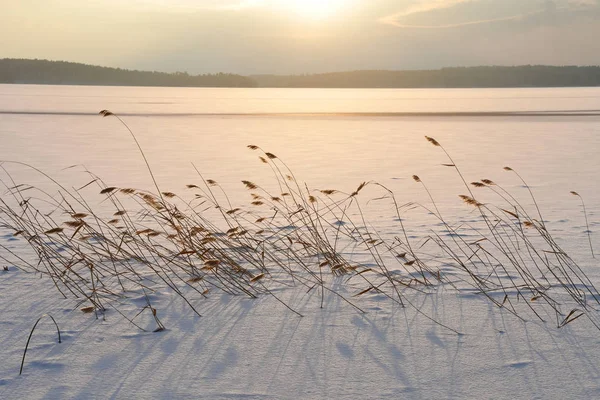 Stroiki Uvildy Jeziora Regionie Chelyabinsk Oświetlone Przez Słońce Zimie Rosja — Zdjęcie stockowe