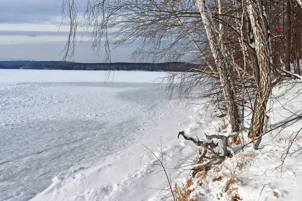 Rive Île Vyazovy Lac Gelé Uvildy Dans Région Chelyabinsk Hiver — Photo