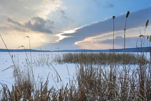 Rosja Czieljabinskaja Obłast Uvildy Pomnik Jezioro Natura Zimie Przy Pochmurnej — Zdjęcie stockowe