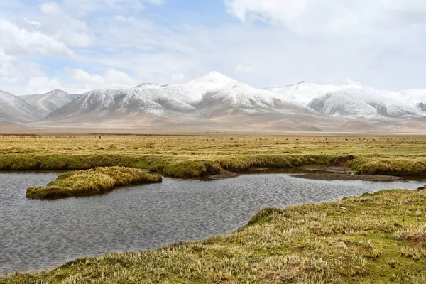 China, river Changumangtsa chu on Tibetan plateau in the area between Gangke Yuke and Gongyok mountains in cloudy weather