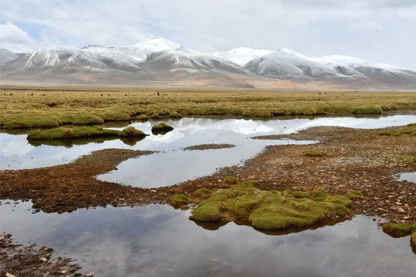 China Rivier Changumangtsa Chu Tibetaanse Plateau Het Gebied Tussen Gangke — Stockfoto