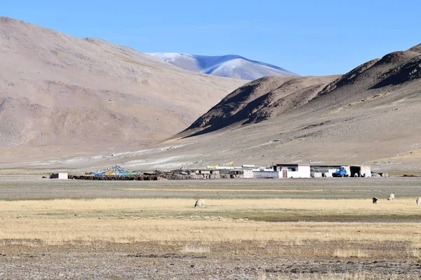 Malá Vesnice Tibetské Náhorní Plošině Létě Čína — Stock fotografie