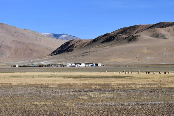 Pequeño Pueblo Meseta Tibetana Verano China —  Fotos de Stock