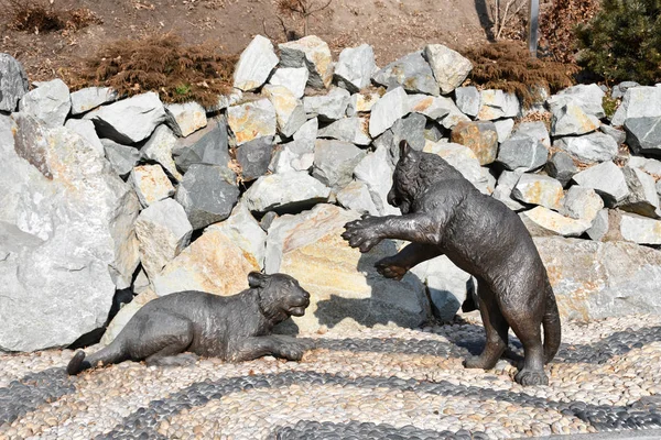 Vladivostok Russia January 2019 Sculpture Two Tigers Karabelnaya Embankment Vladivostok — 스톡 사진