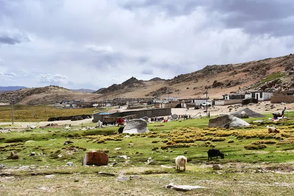 チベット 高山の田舎の生活 — ストック写真
