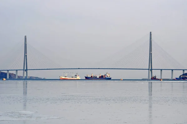 Wladiwostok Russland Januar 2019 Die Brücke Zur Insel Russkiy Und — Stockfoto