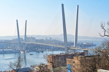 Vladivostok, Rusya Federasyonu, Ocak, 29,2019. Askılı köprüden Zolotoy Rog Körfezi ve Vladivostok pelerinle Churkina kışın güneşli bir günde, Rusya Federasyonu
