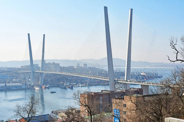 Wladiwostok Russland Januar 2019 Schrägseilbrücke Über Zolotoy Rog Bay Und — Stockfoto