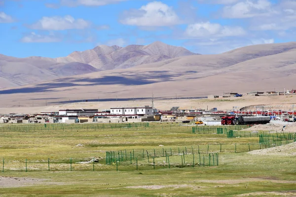 青藏高原 山区定居雅克拉在夏天在阳光明媚的天 — 图库照片