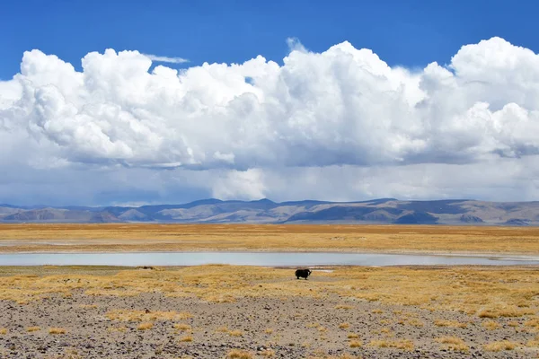 China Tibet Large Beautiful Clouds Trans Himalayas Area Lake Teri — Stock Photo, Image