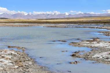 Tibet, Çin Yakra köyü yakınındaki güçlü tuzlu göl Ruldan (Nak)