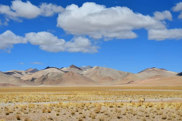 China Meseta Tibetana Grandes Nubes Sobre Trans Himalaya Camino Ringtor — Foto de Stock