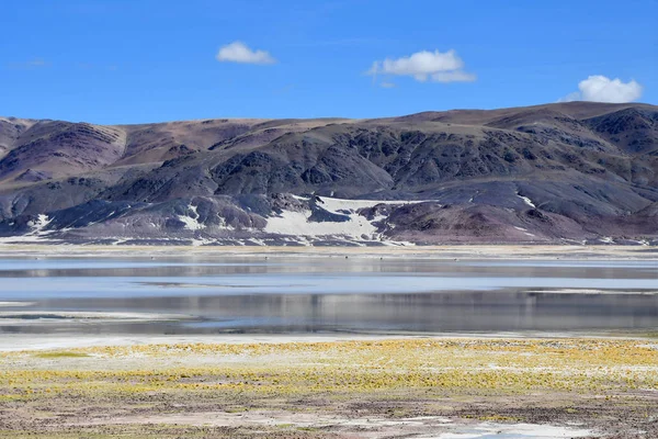 Lago Altamente Salino Drangyer Tsaka Tibet Estate Cina — Foto Stock