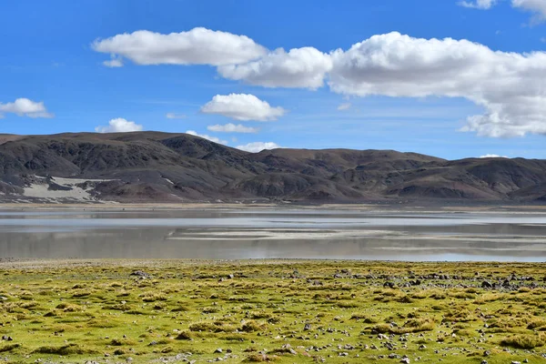 Весьма Соленое Озеро Дрангер Цака Тибете Летом Китай — стоковое фото