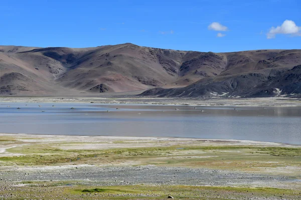 Vysoce Solné Jezero Drangyer Tsaka Tibetu Slunečný Den Čína — Stock fotografie