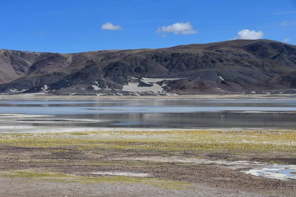 Lago Altamente Salino Drangyer Tsaka Tibet Nella Giornata Sole Cina — Foto Stock