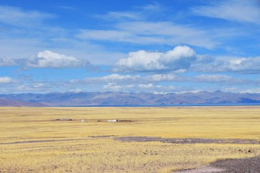 Mera Tuz Gölü Drangyer Tsaka giderken. Çin, Tibet