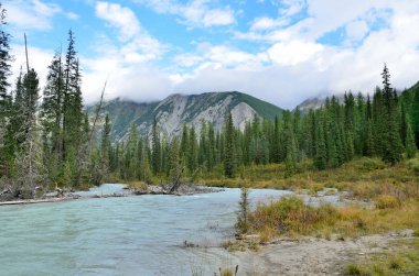Rusya, dağ altay. Yaz aylarında nehir Shavla