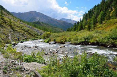 Rusya, Altai Cumhuriyeti, yaz aylarında Shabaga Nehri