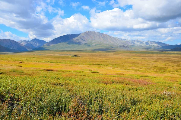 Ryssland Republiken Altai Platå Yoshtykyol Molnig Dag — Stockfoto