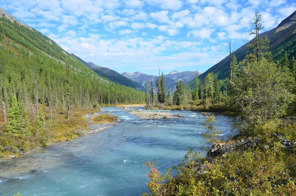 Ryssland Mountain Altai Floden Shavla Sommar — Stockfoto