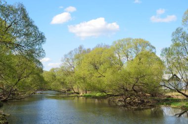 Rusya, Vladimir Bölgesi Aleksandrov kasabasında gri (seraya) Nehri