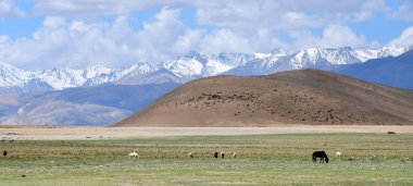 Rakshas Tal Gölü (Langa-Tso) kıyılarındaki dağlar yaz aylarında bulutlu havalarda