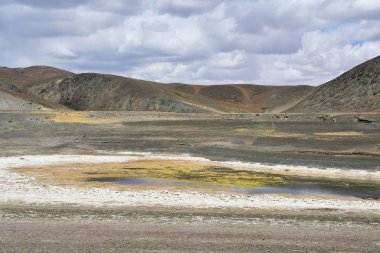 Kıyı şeridinin bir parçası - Rakshas Tal Gölü'nün Güney-Batı kıyısında geoglyph parçası. Tibet