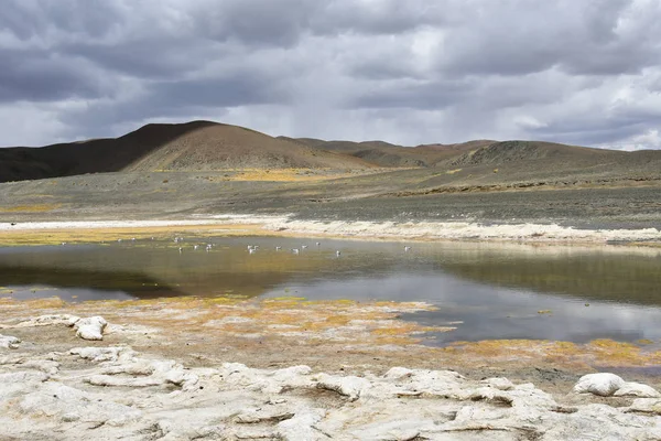 Deposito Del Lago Salino Triangolare Nella Costa Sud Occidentale Del — Foto Stock