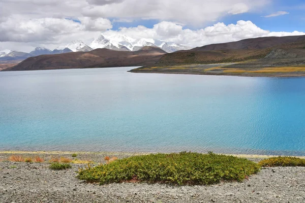 西藏的大湖 华夏塔尔湖 在夏天在多云天 — 图库照片