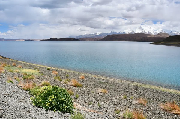 Great lakes of Tibet. Lake Rakshas Tal (Langa-TSO) in summer in cloudy day