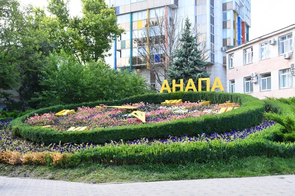Anapa Russland Juli 2018 Komposition Blumenuhr Bewölkten Sommertag Anapa — Stockfoto