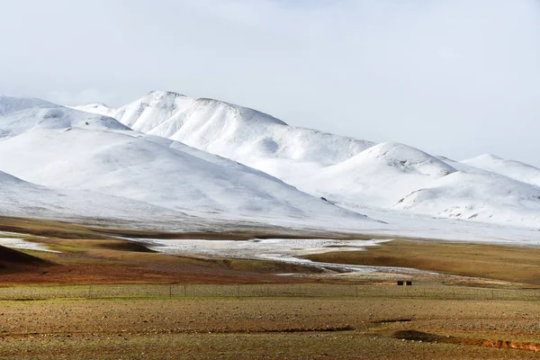 Chine Tibet Les Sommets Enneigés Côte Lac Montagne Kering Été — Photo