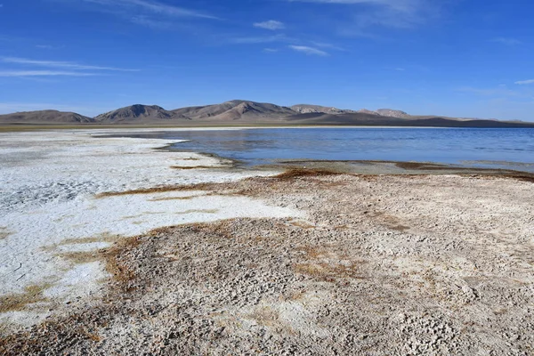 Cina Tibet Negozio Del Lago Ngangtse Nganga Tso 4690 Giornata — Foto Stock