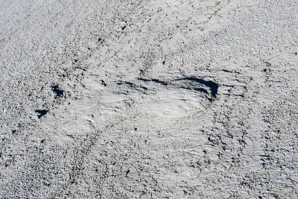 Large footprint on the ground, similar to  footprint, on the Bark plateau near the Central point of the Kailas Mandala at an altitude of more than 4,000 meters. Tibet, China