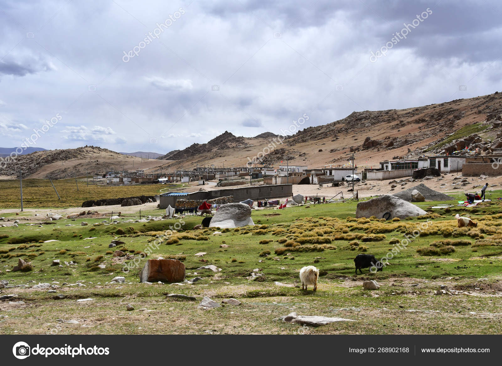 Tibet High Mountain Village Far Lake Gomang Summer Stock Photo C Irinabal18
