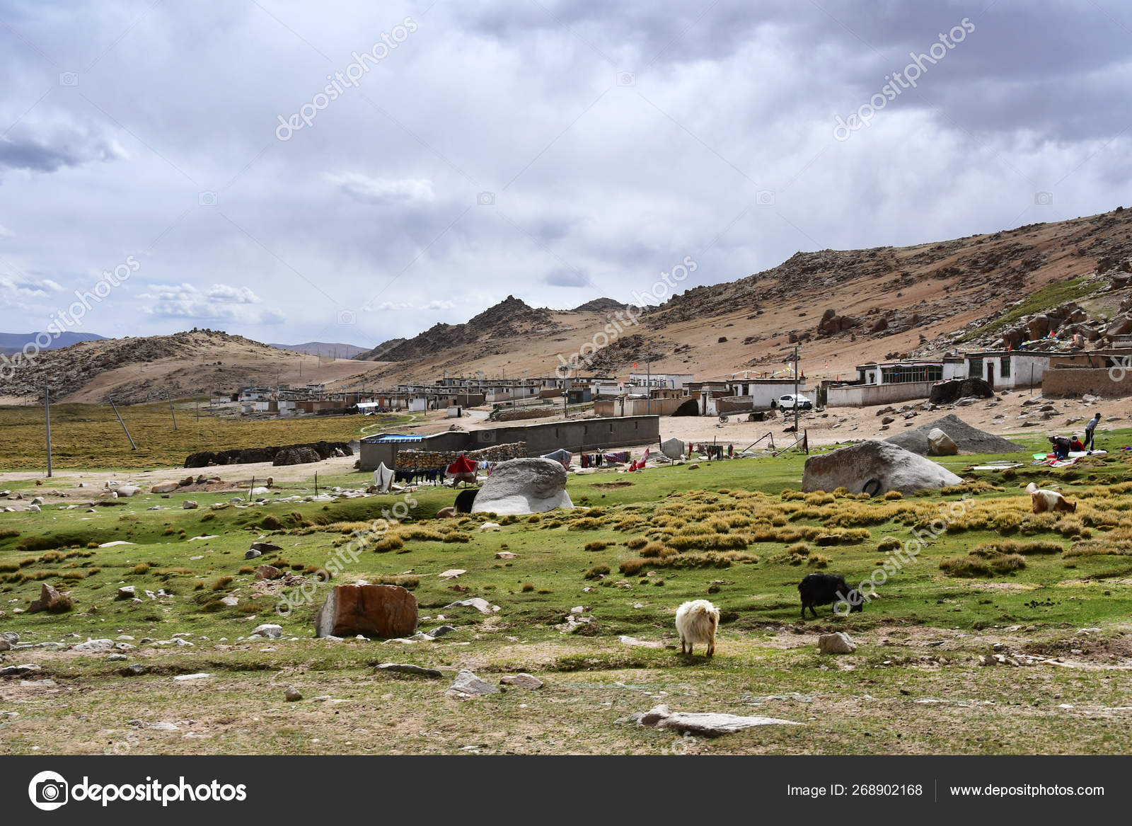 Tibet High Mountain Village Far Lake Gomang Summer Stock Photo C Irinabal18 Tibet High Mountain Village Far Lake Gomang Summer Stock Photo C Irinabal18