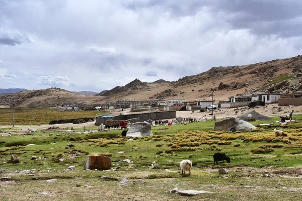 Tibet Villaggio Alta Montagna Non Lontano Dal Lago Gomang Estate — Foto Stock