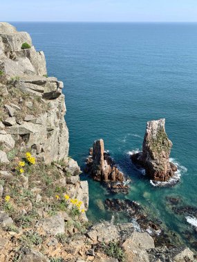 İlkbaharda Shkot adasının kayalık kıyısı. Rusya, Vladivostok