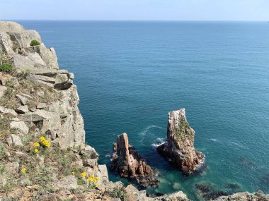 İlkbaharda Shkot adasının kayalık kıyısı. Rusya, Vladivostok
