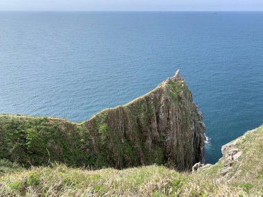 Rusya, Vladivostok. Shkot adasının Güney-Doğu kıyısı. Kayalık balolardan birinin arması boyunca dar bir yol
