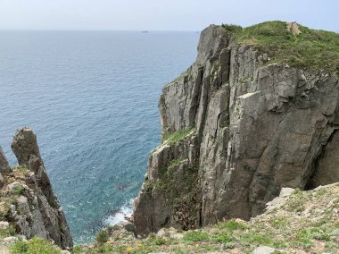 Rusya, Vladivostok. Yaz aylarında Shkot adasının Güney-Doğu kıyısı 